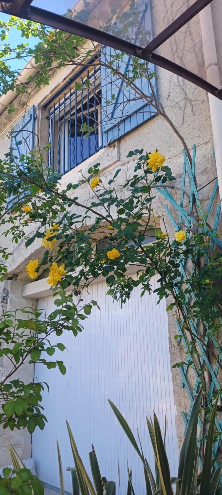 Bed and Breakfast Le Colibri Bleu Argeliers Exterior foto