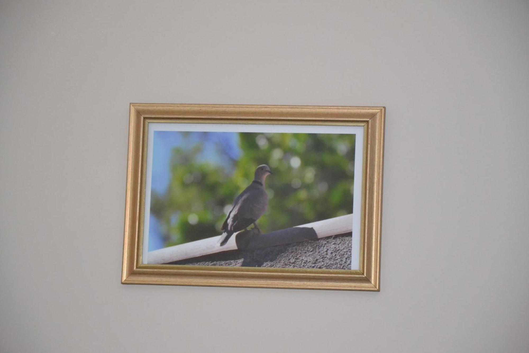 Bed and Breakfast Le Colibri Bleu Argeliers Exterior foto