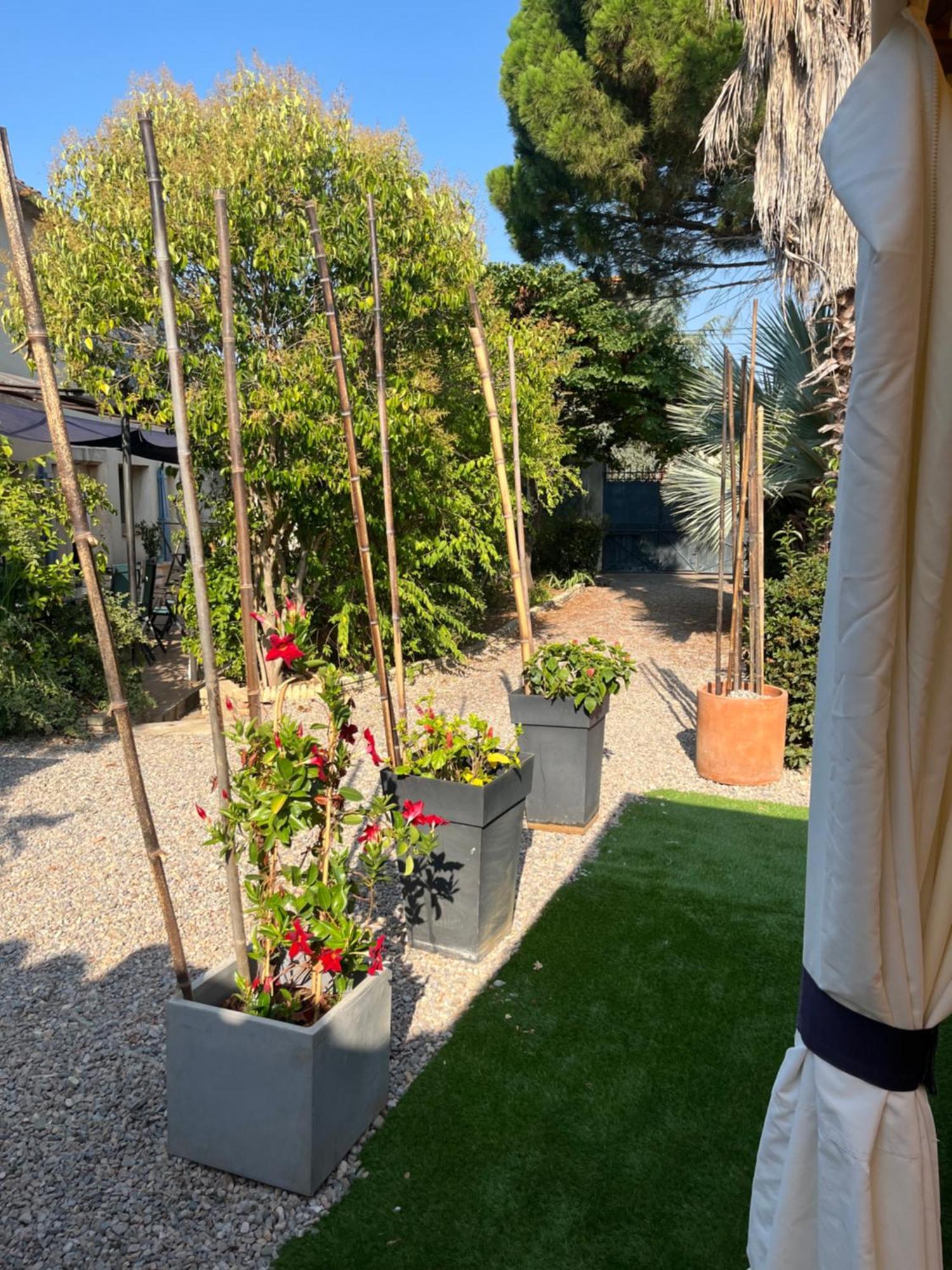 Bed and Breakfast Le Colibri Bleu Argeliers Exterior foto