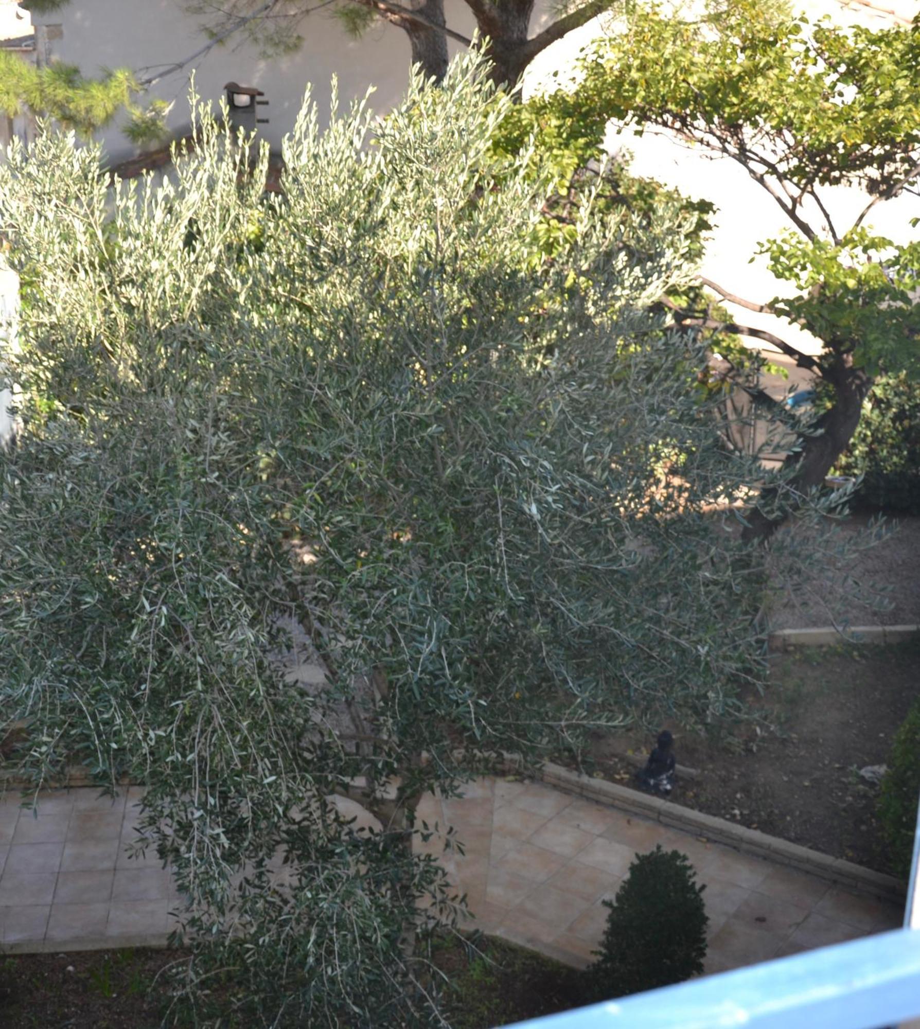 Bed and Breakfast Le Colibri Bleu Argeliers Exterior foto